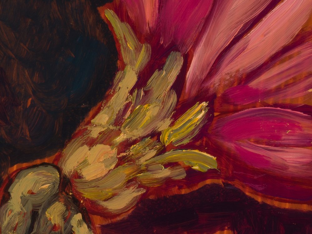 Close-up 2