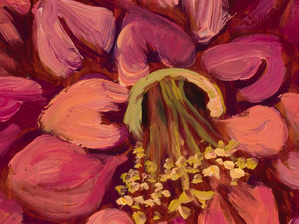 Close-up 3