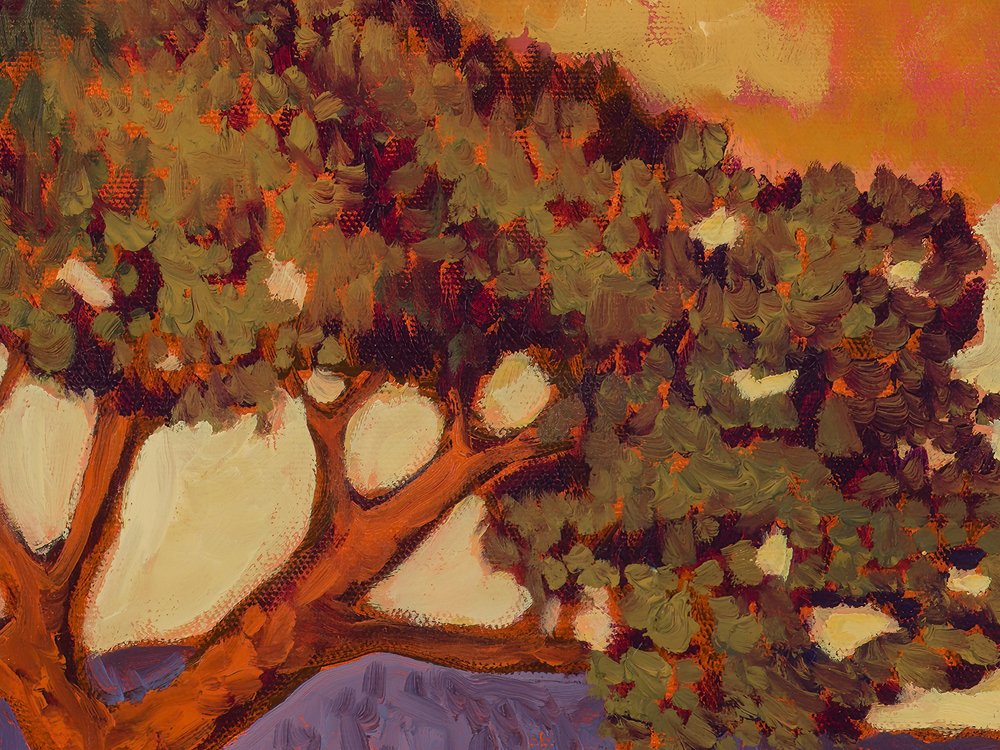 Close-up 1