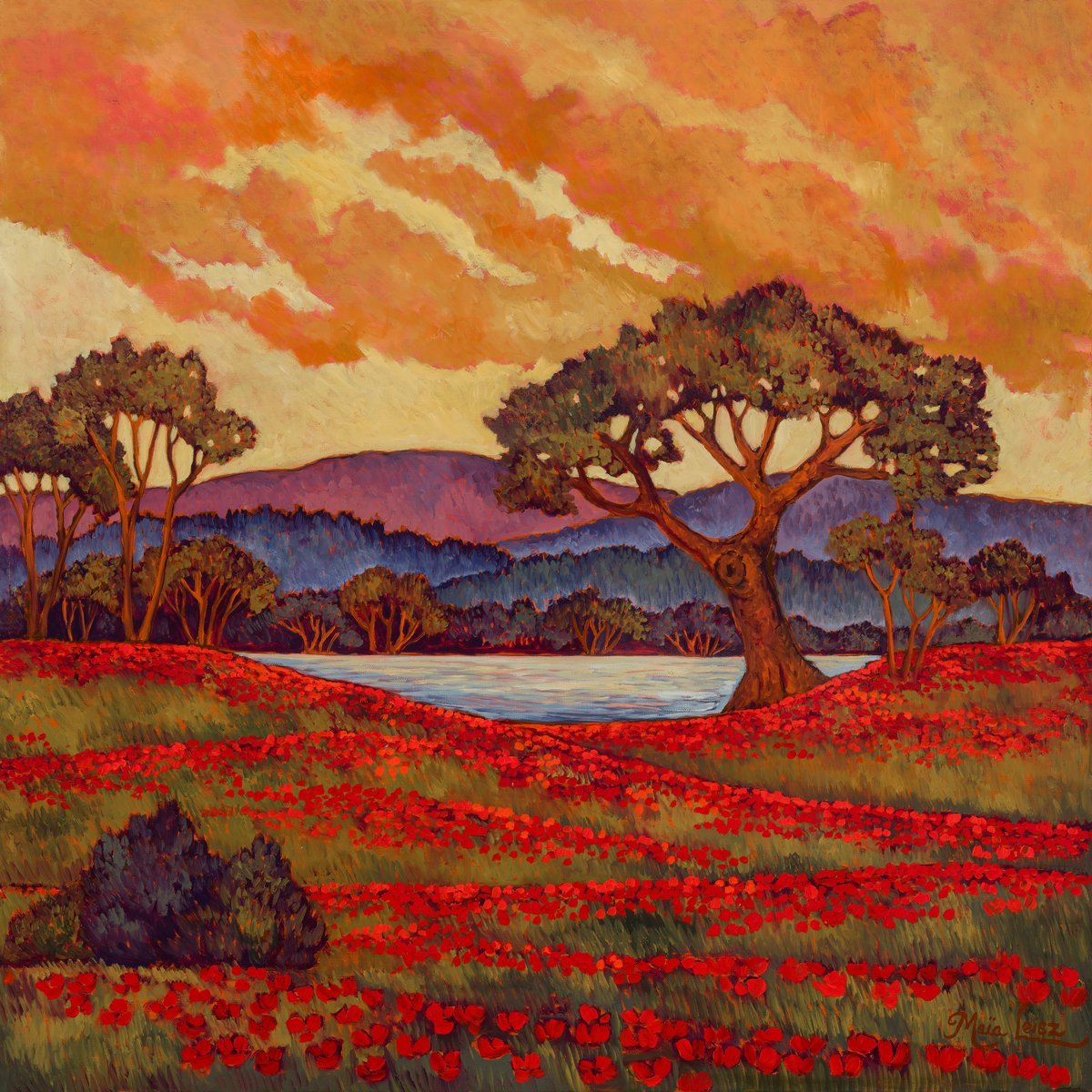 Red Poppy Sunset by Maia Leisz