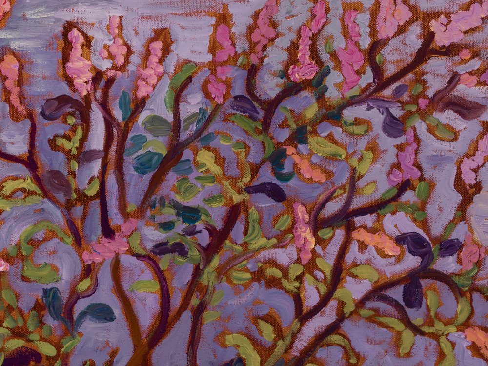 Close-up 2