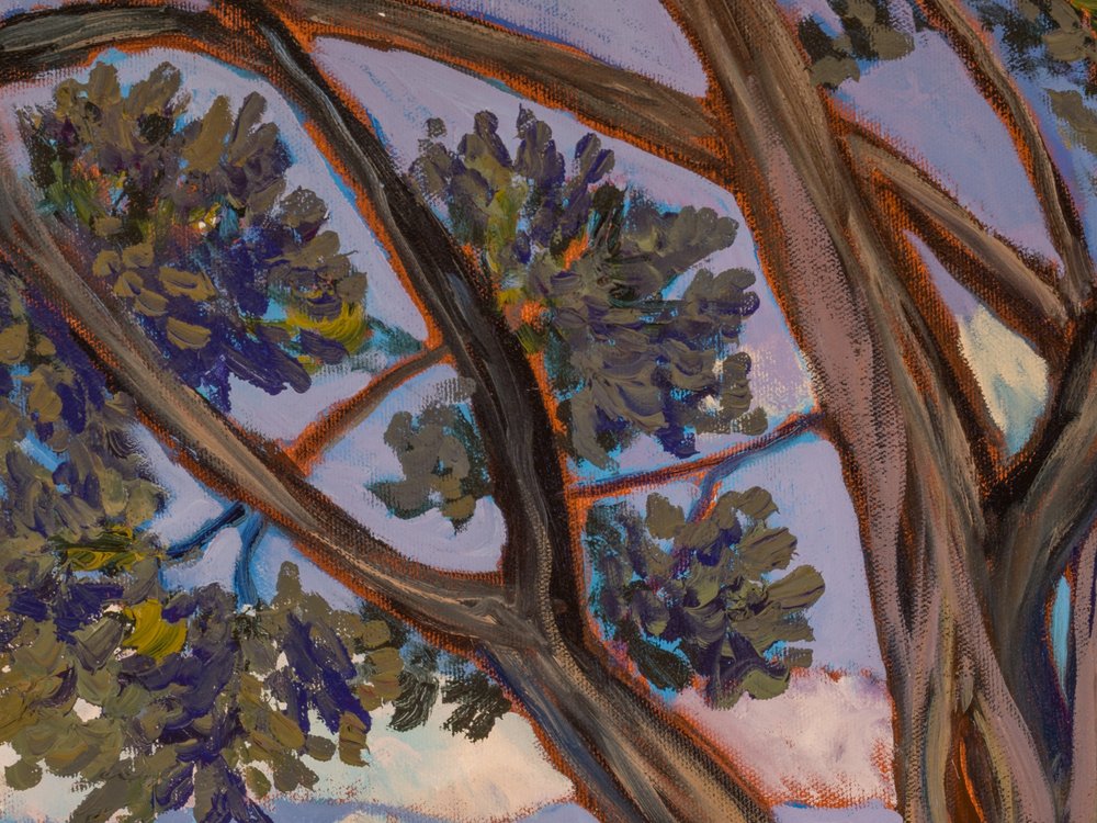 Close-up 1