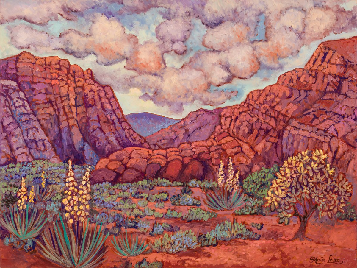 Snow Canyon by Maia Leisz