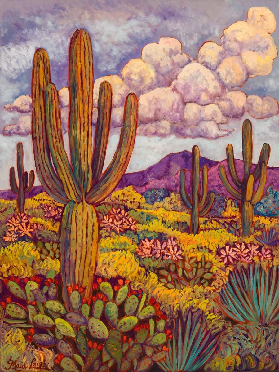 Sonoran Cumulus by Maia Leisz