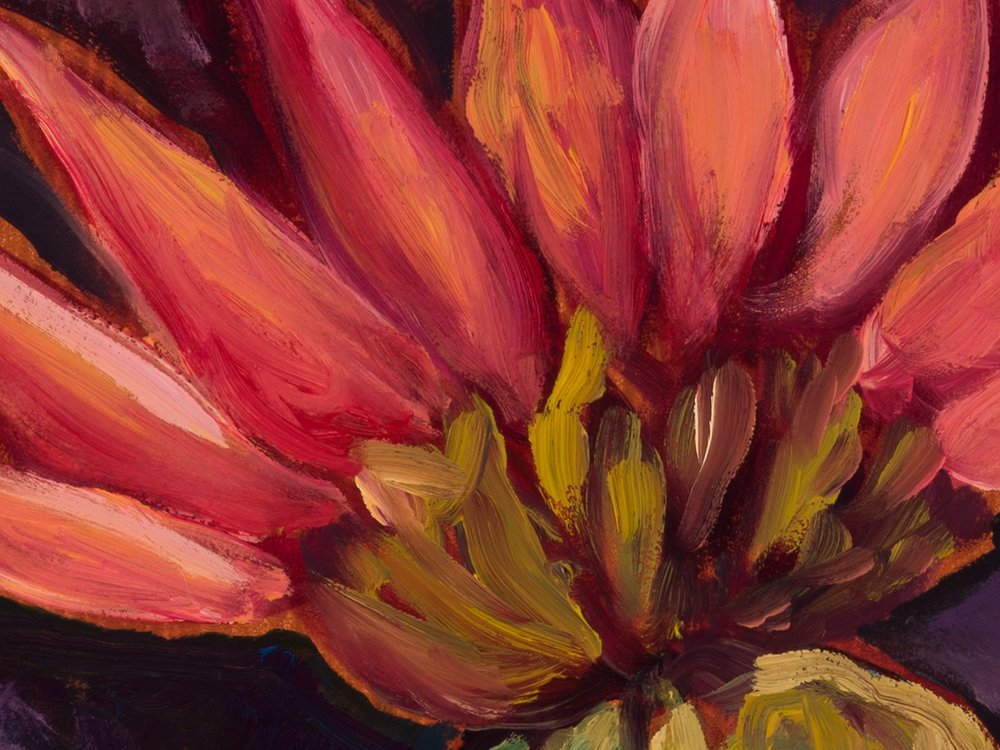 Close-up 1