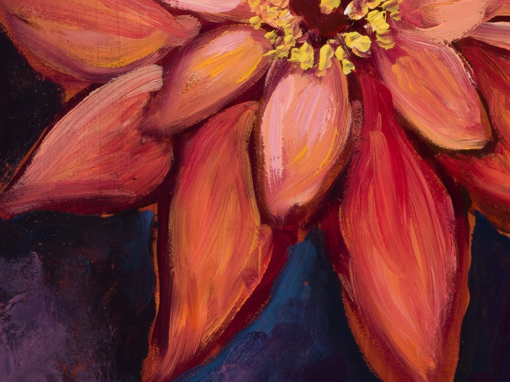 Close-up 3