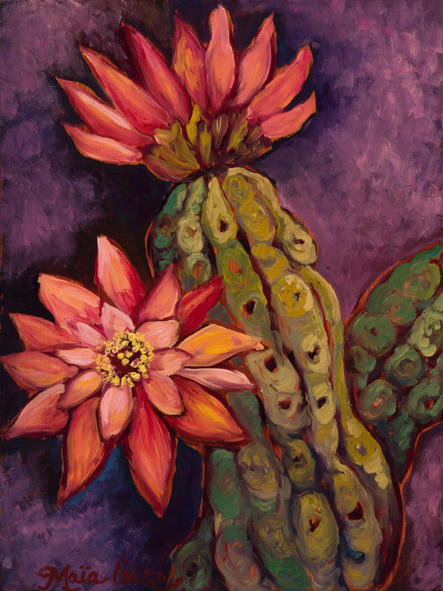 Sonoran Evening Bloom by Maia Leisz