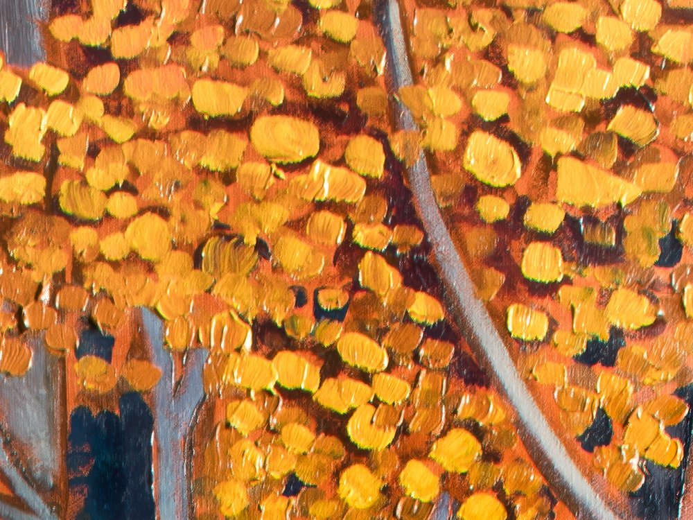 Close-up 1