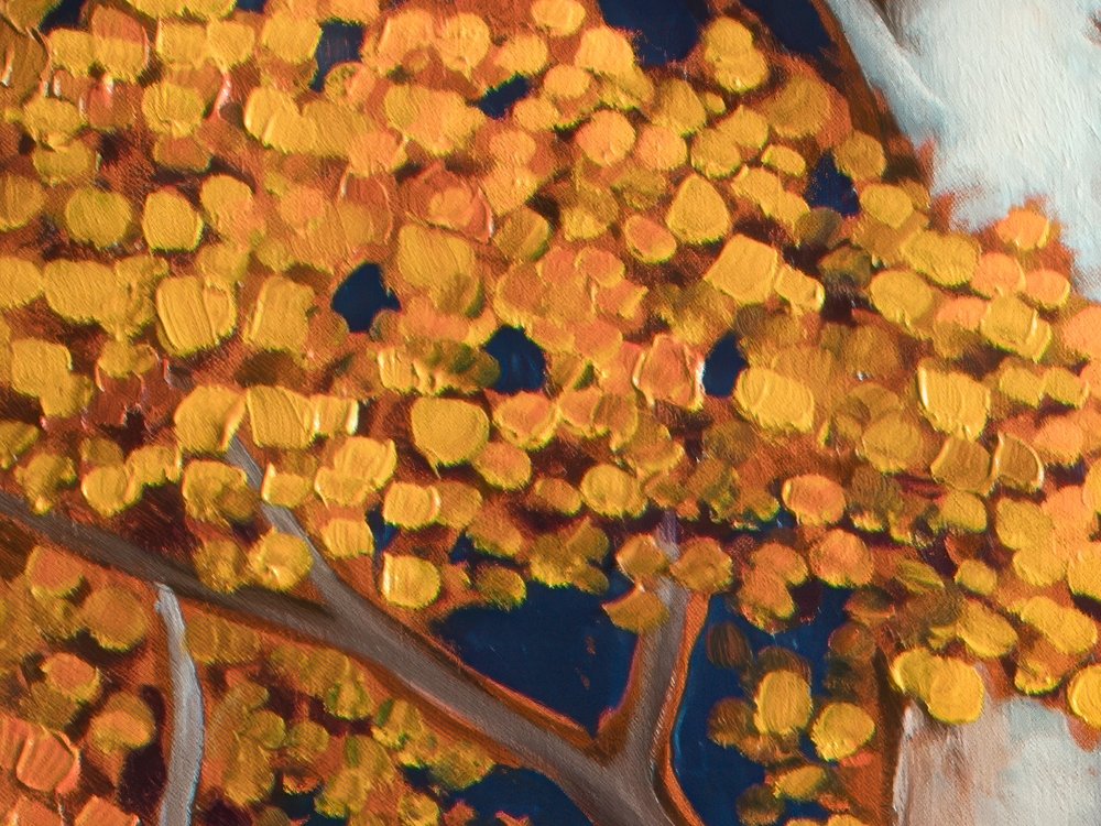 Close-up 2