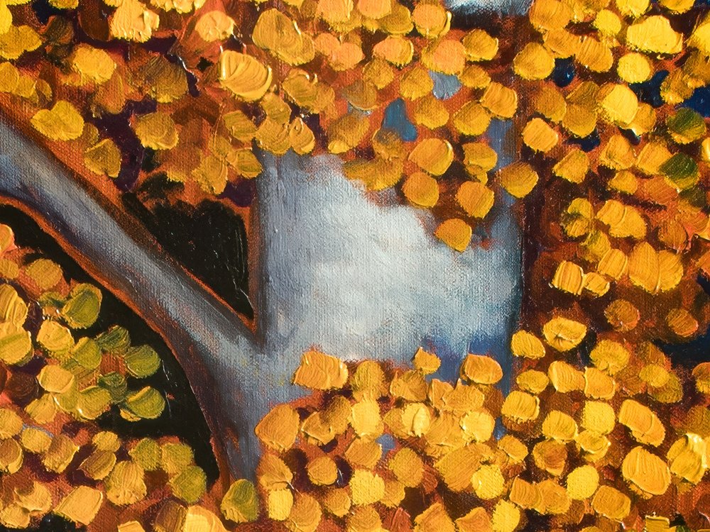 Close-up 3