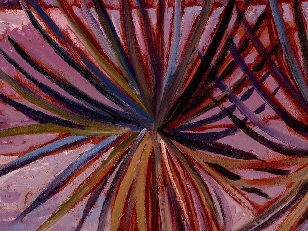 Close-up 3
