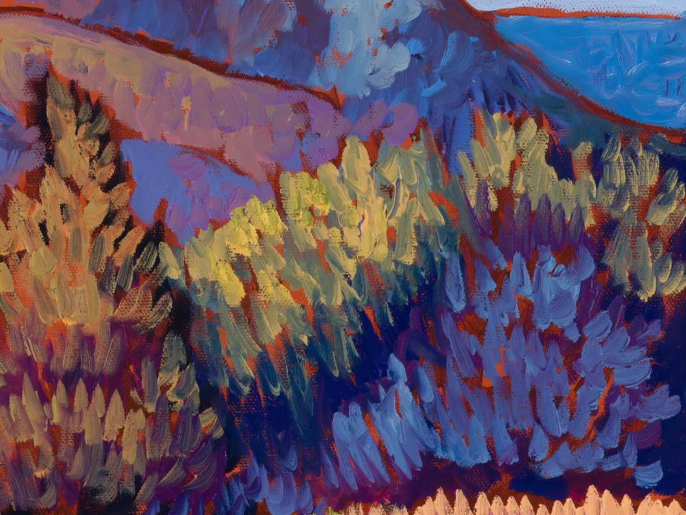Close-up 1