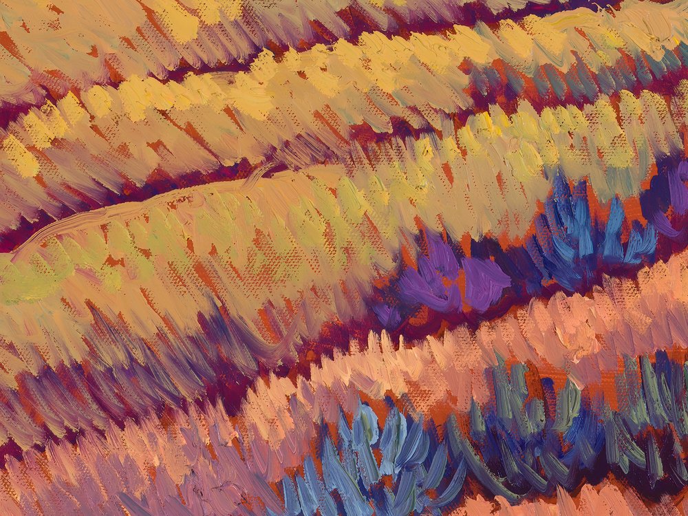Close-up 2