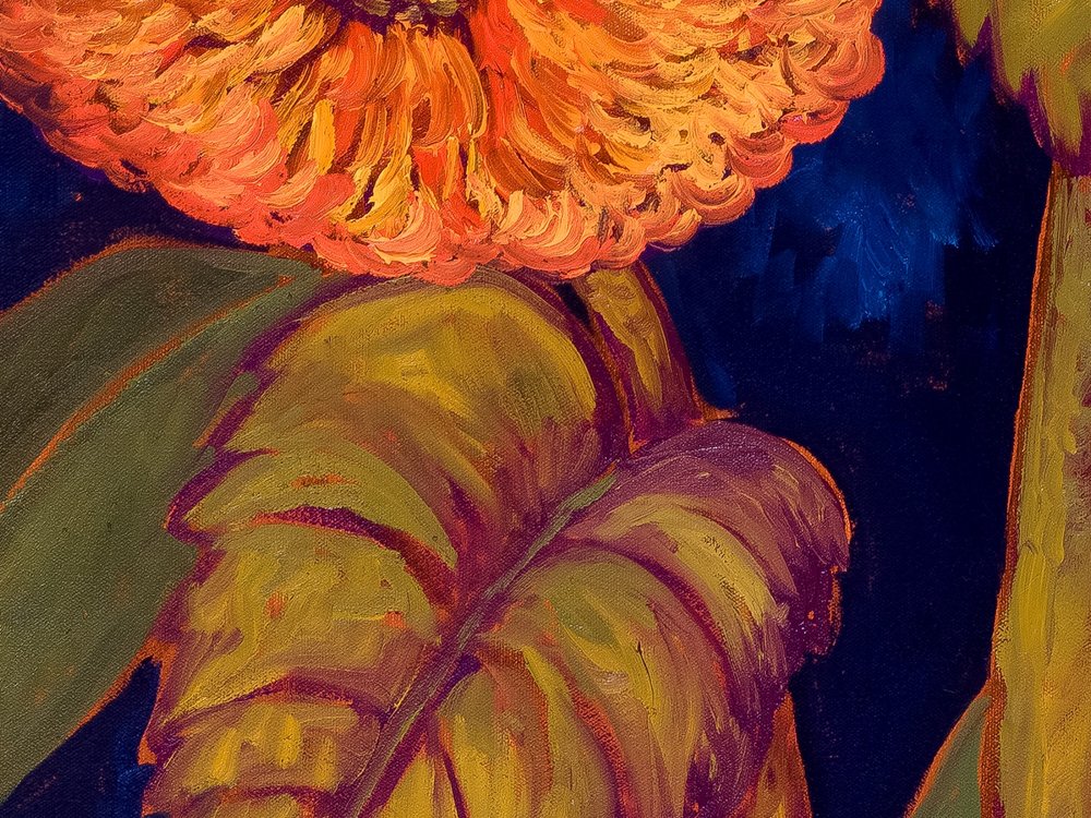 Close-up 3
