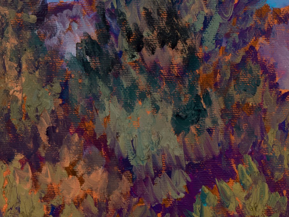 Close-up 1
