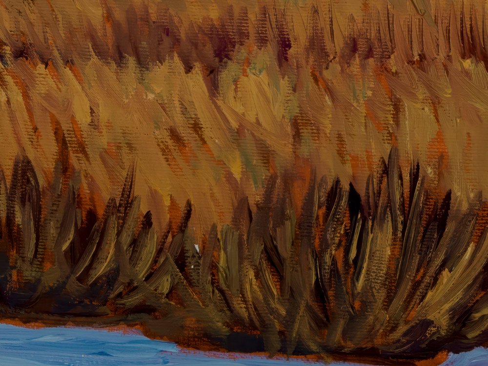 Close-up 3