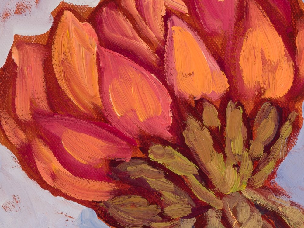 Close-up 1