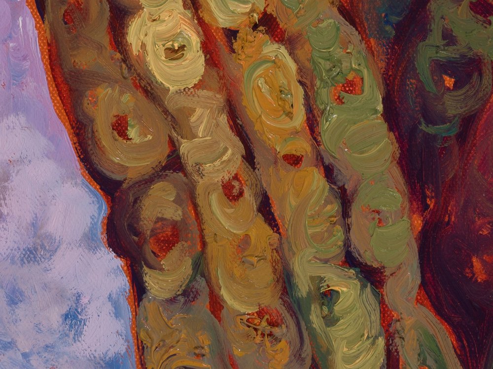 Close-up 3