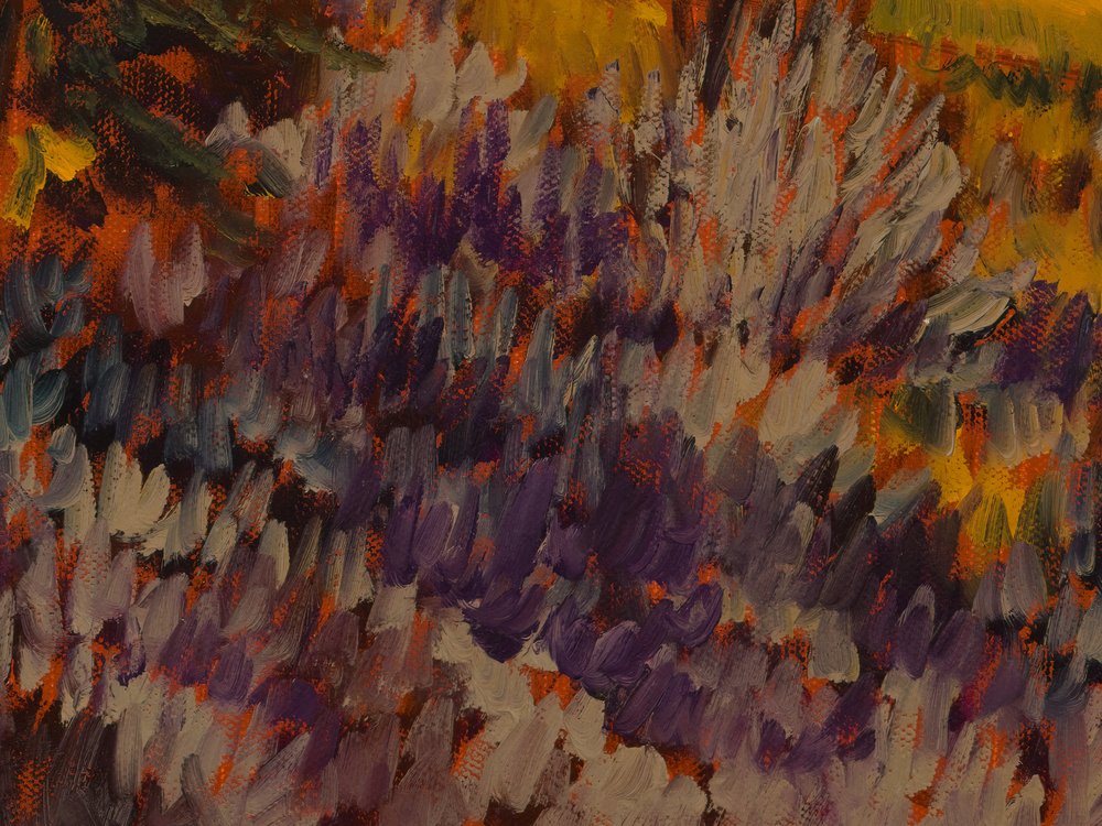 Close-up 3
