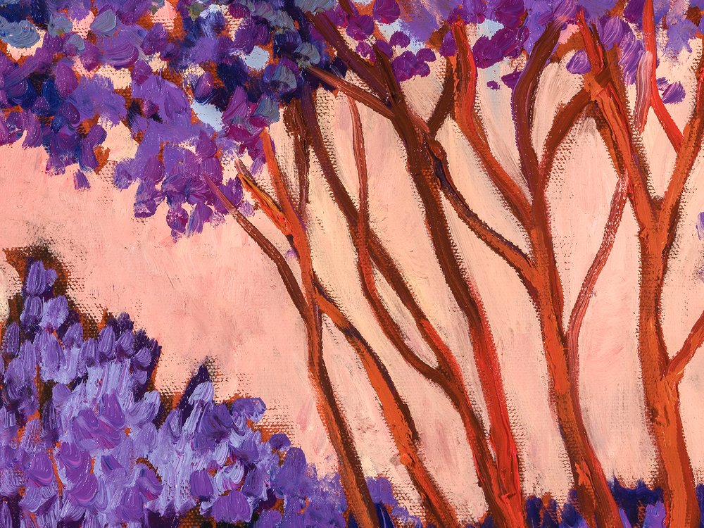 Close-up 2