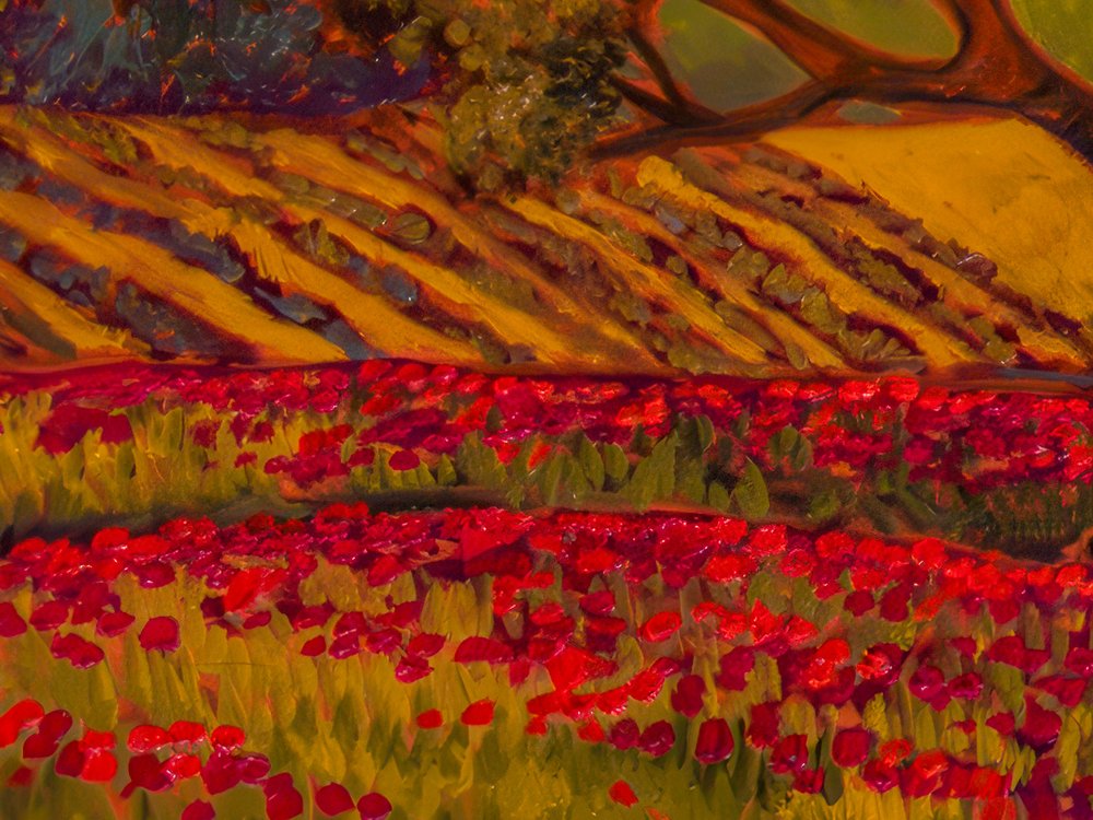 Close-up 1