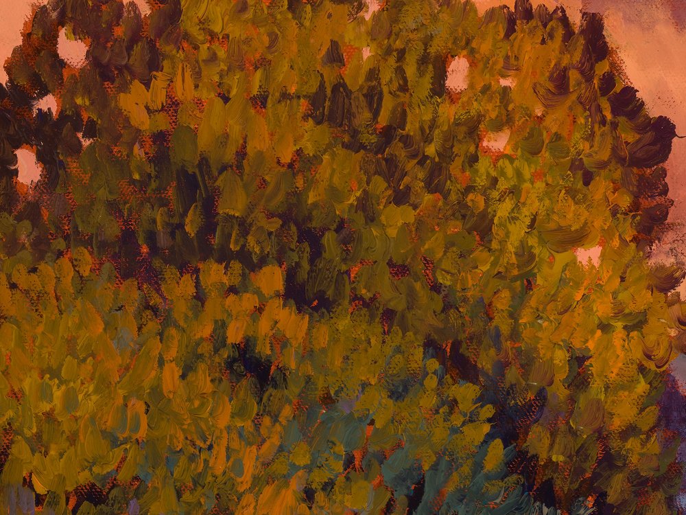 Close-up 1