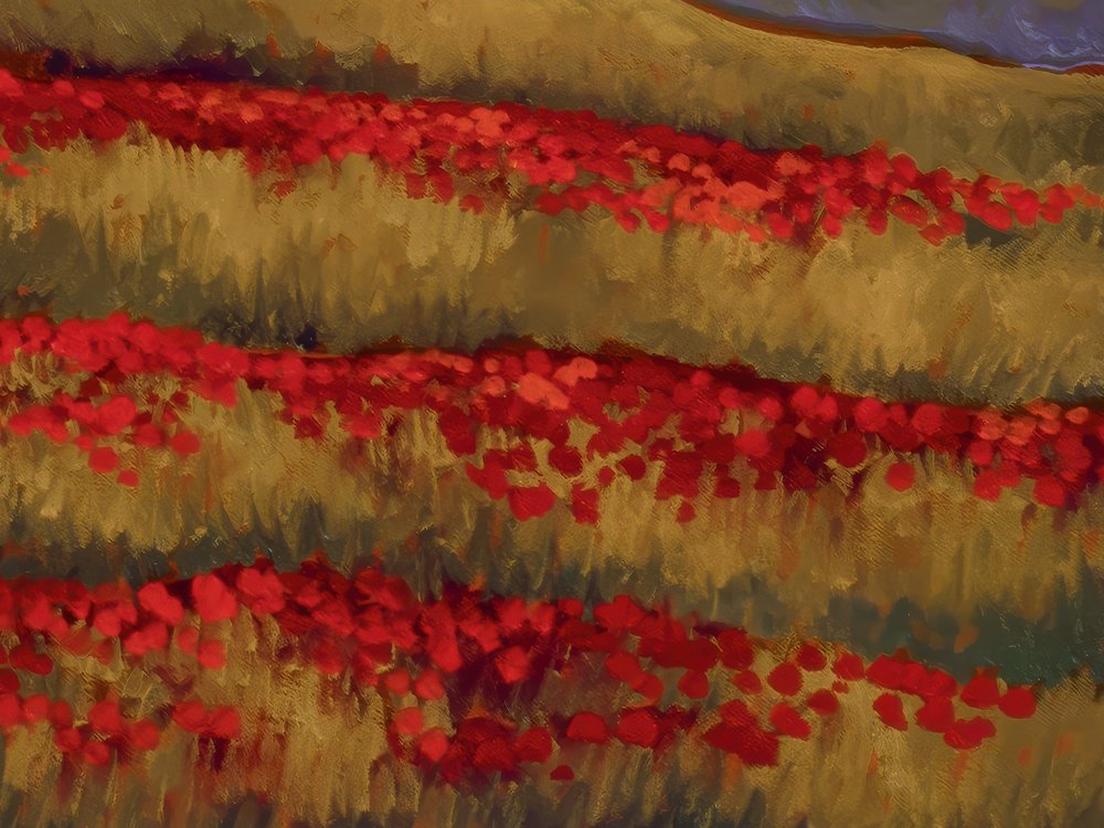 Close-up 3