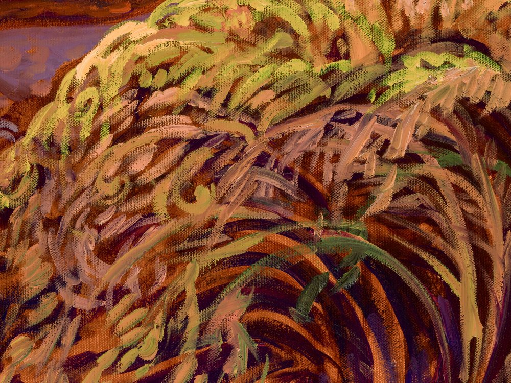 Close-up 3