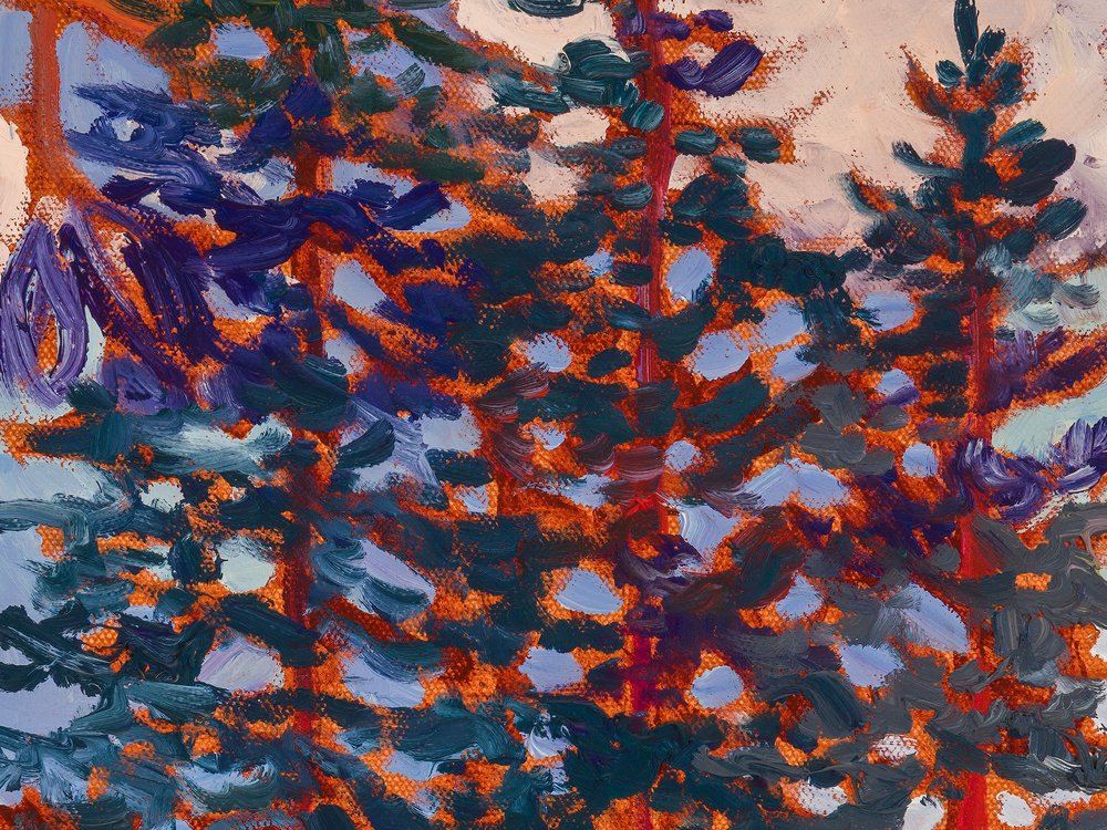 Close-up 1